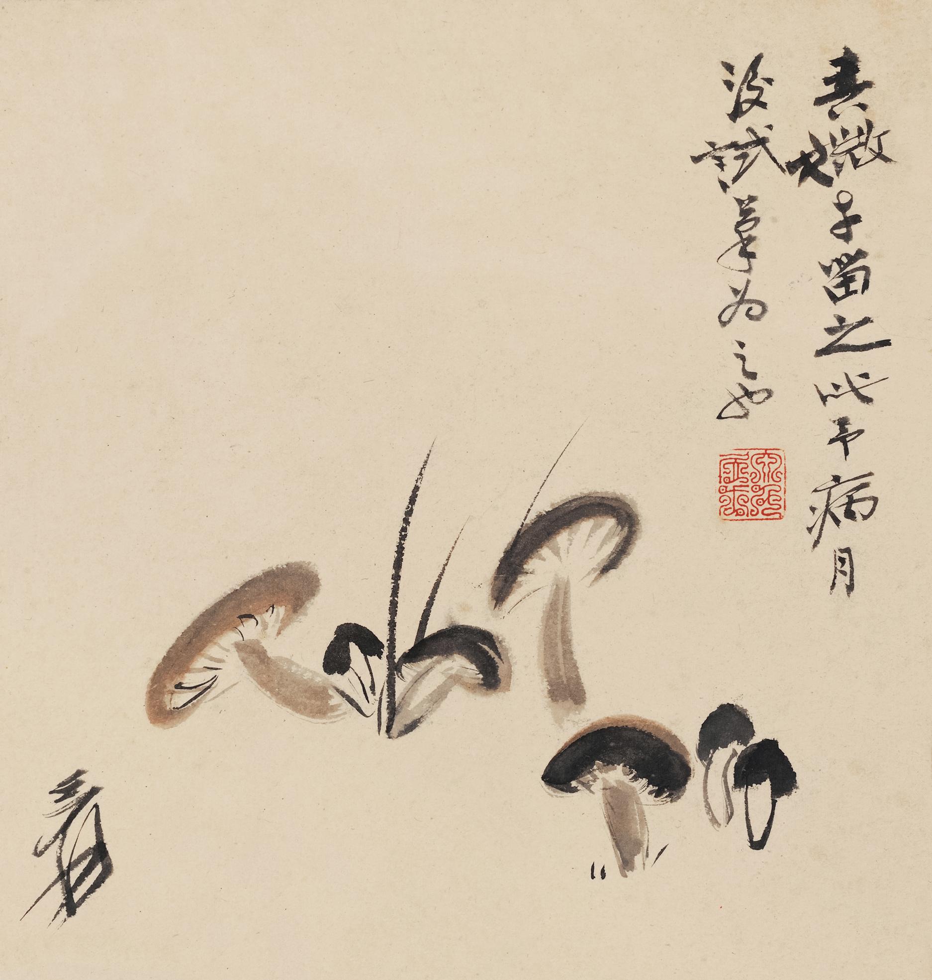 张大千(1899-1983) 蘑菇